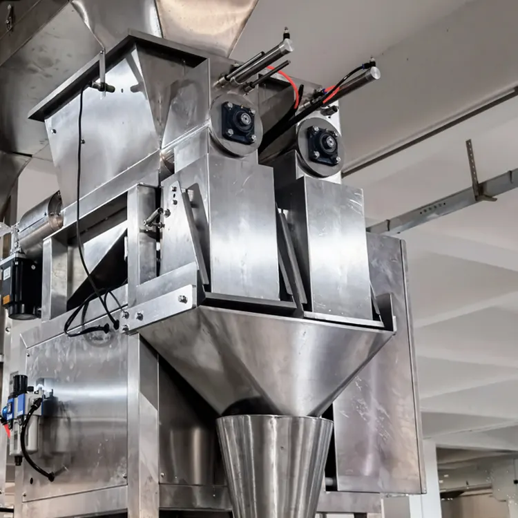 china frozen food packaging machine