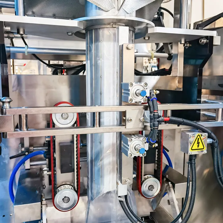china frozen food packaging machine factory